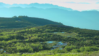 夏の風景写真 天狗平 栂池