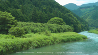 夏の風景写真 興津川 清流