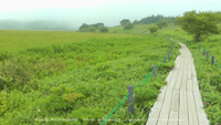 夏の風景写真 八島ヶ原湿原