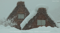 冬の風景写真 白川郷 雪景色 合掌造り