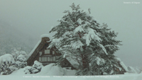 冬の風景写真 白川郷 雪景色 合掌造り