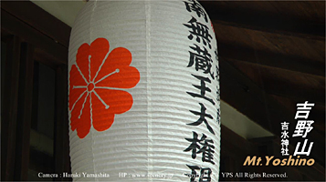 吉野熊野国立公園　世界文化遺産　吉野山　桜