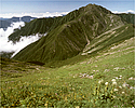 日本百名山 赤石岳
