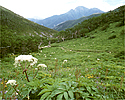 日本百名山 塩見岳