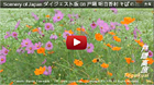 You Tube ダイジェスト版 08