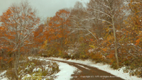 秋の無料壁紙 鎌池 紅葉 新雪