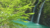 春の無料壁紙 秋山郷 新緑 清流