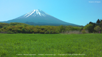 夏の無料壁紙 富士山麓 朝霧高原 富士山