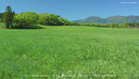 夏の無料壁紙 富士山麓 朝霧高原