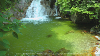 夏の無料壁紙 尾白川渓谷 清流 滝