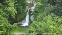 夏の無料壁紙 尾白川渓谷 清流 滝