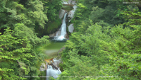 夏の無料壁紙 尾白川渓谷 清流 滝