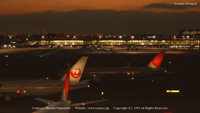 冬の無料壁紙 羽田空港 JAL機