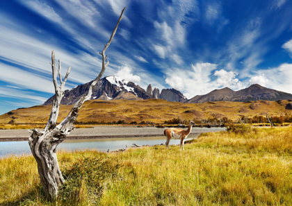 世界の絶景