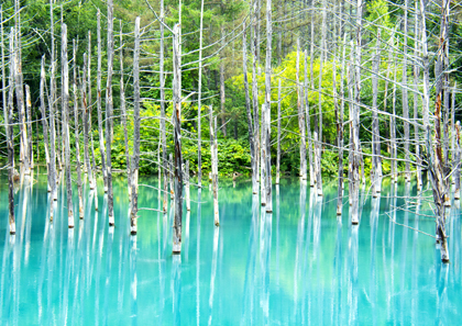 世界の絶景