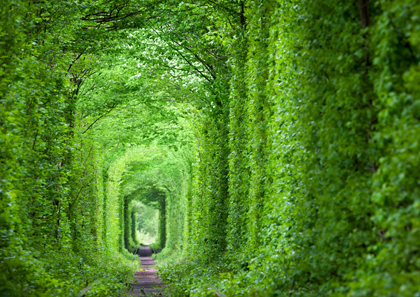 世界の絶景