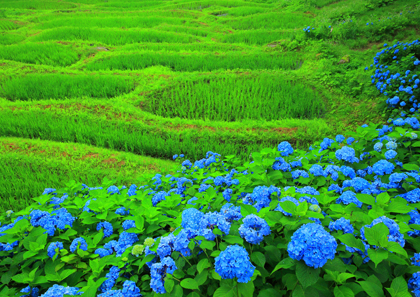 世界の絶景