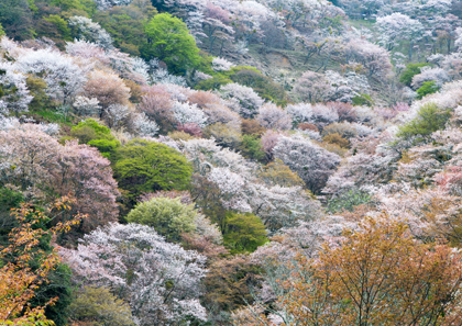 世界の絶景