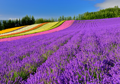 世界の絶景