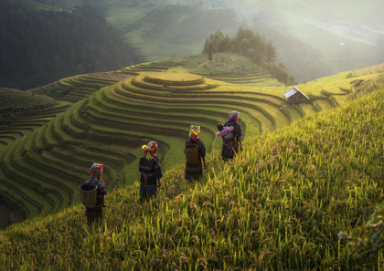 世界の絶景