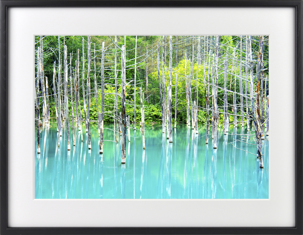 世界の絶景